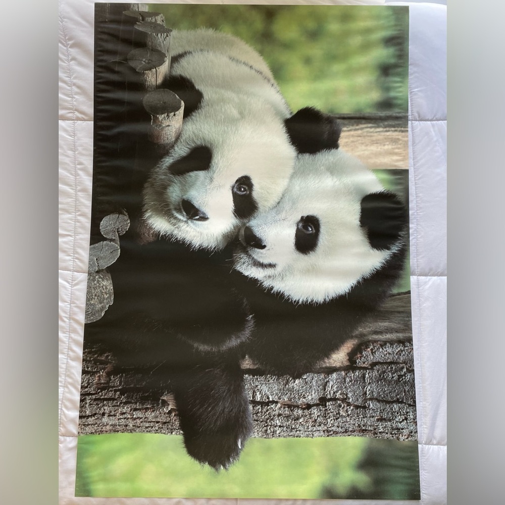 24x36 Panda Wall Art